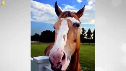 12 خدعة سوف تختبر عقلك