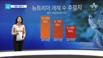 [사건파일]‘괴물쥐’ 뉴트리아 개체수 하락…이유는?