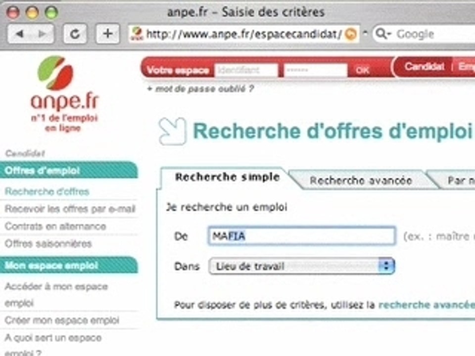 Anpe saisie des criteres