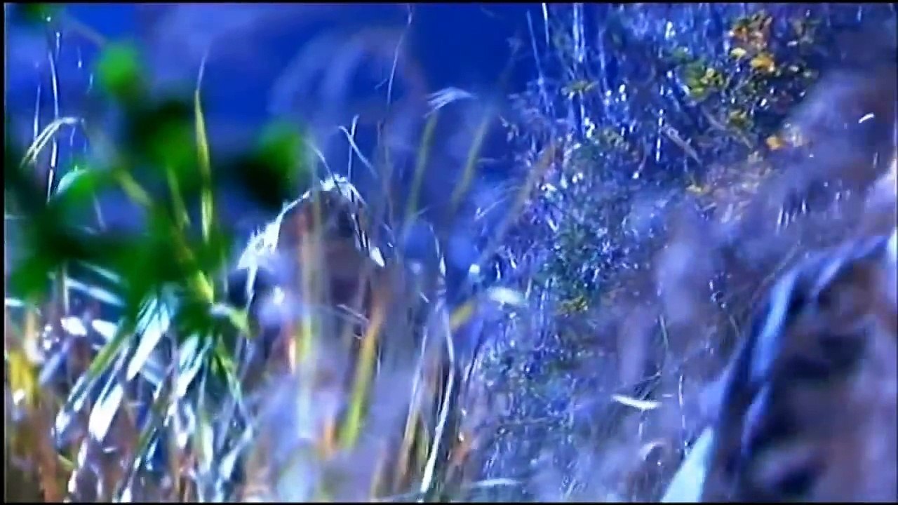 มังกรหยก ภาค 2 (เอี้ยก้วย) 2006 ตอนที่ 26