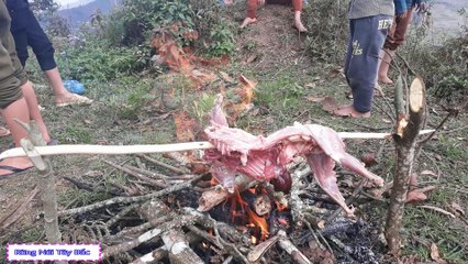 Được Mời Đi Nướng Thịt Mèo Ngon Không Thể Tả Nổi