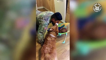 14 Funny Pets - Awesome Pet Video Compilation 2018 (1)