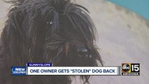 Phoenix pet owner gets dog returned