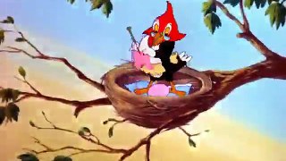 Hatch Up Your Troubles  - Tom and Jerry (41)