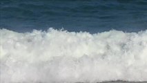 Adrénaline - Surf : Rip Curl Women's Pro Bells Beach, Women's Championship Tour - Round 2 heat 3