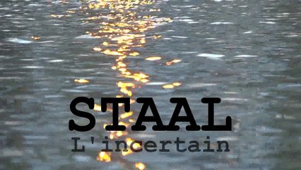 REGARD 481 - L'INCERTAIN, dernir CD de François STAAL. RLHD.TV