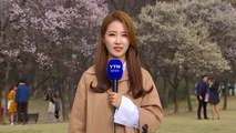 [날씨] 내일 구름 많고 따뜻...중서부 오후 비 / YTN