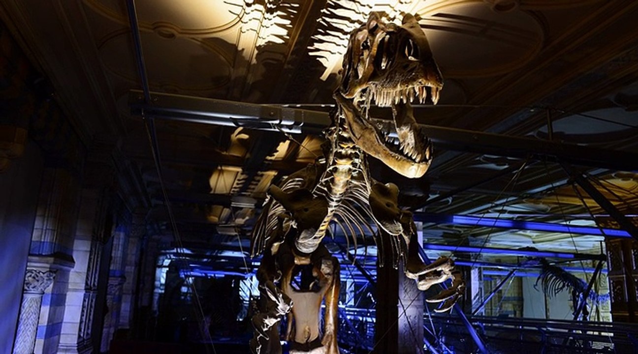 Making David Attenborough's Natural History Museum Alive (2014) video