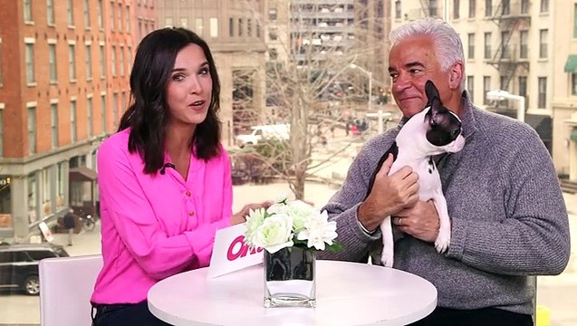 Star-Studded Performance! Inside The Celebrity Packed Beverly Hills Dog Show