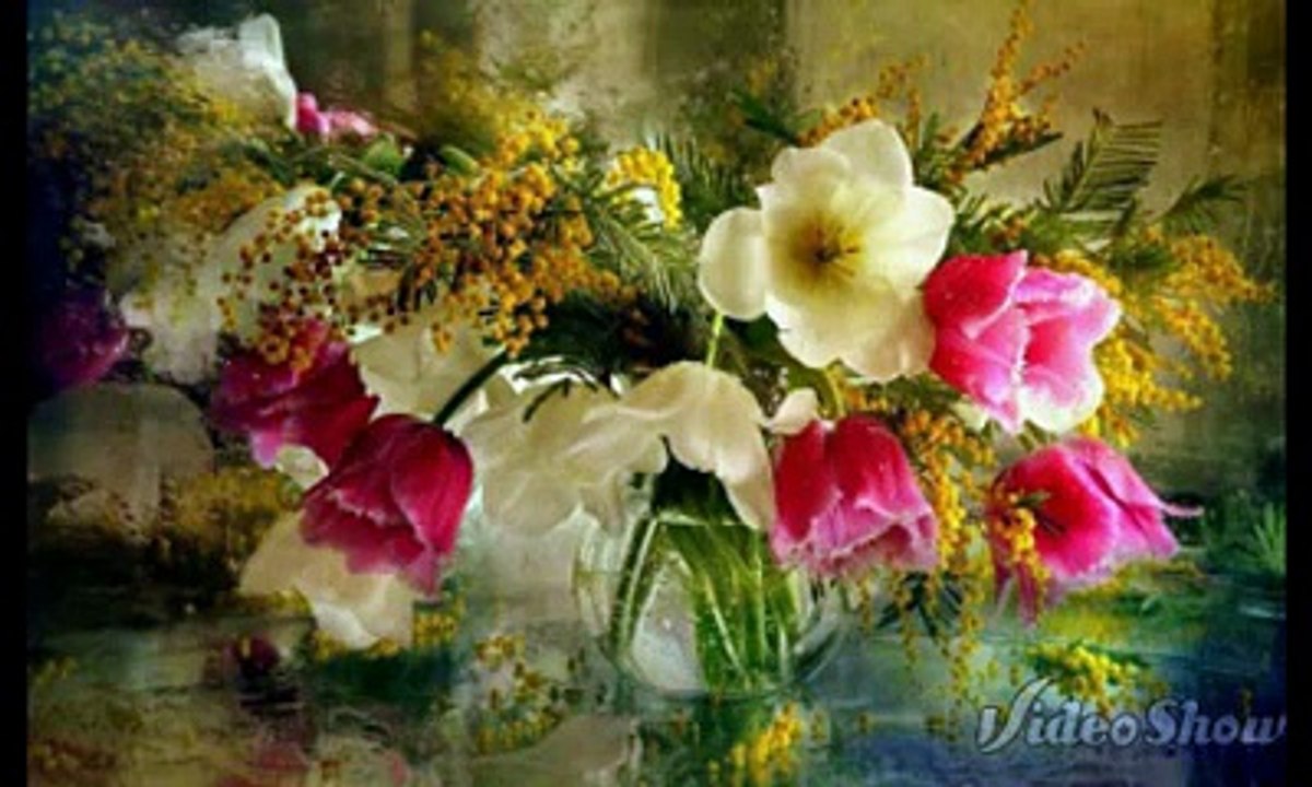 انشودة لا تسيء الظن __