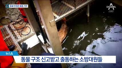 ‘동물 포획’ 한해 12만 번 출동…내달부터 ‘거절’