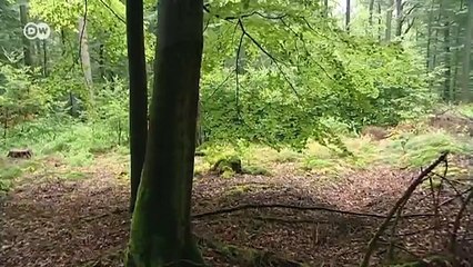 Hannoversch Münden - drei Reisetipps | Hin & weg