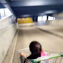 Really what did she expect to happen...sat in a shopping trolley