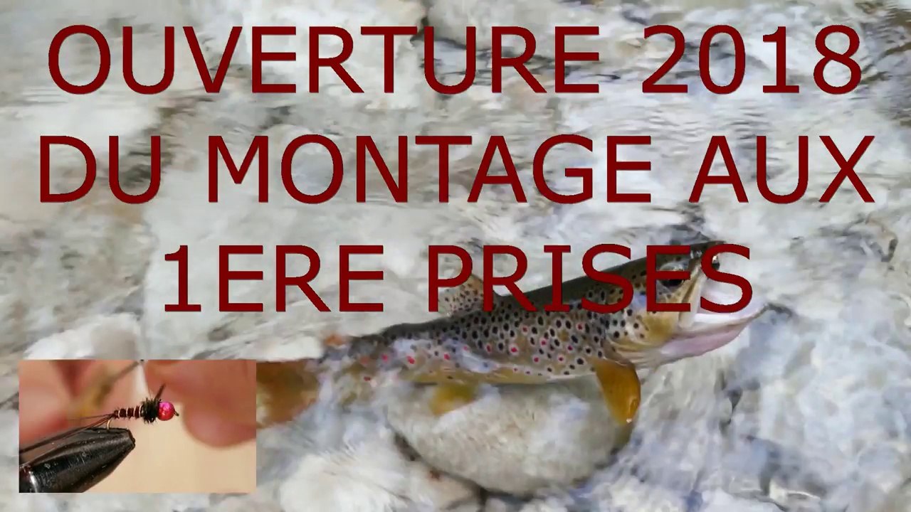 Ouverture truite 2018, nymphe au toc dans le Vercors