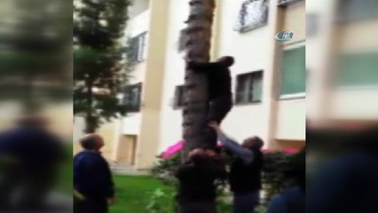 15 metrelik ağaçta mahsur kalan kediyi canı pahasına böyle kurtardı