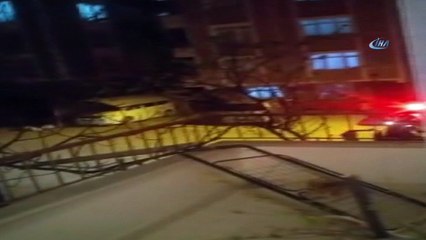 3 gün boyunca aç-susuz yaşam mücadelesi veren kediyi İtfaiye kurtardı