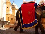 Amer Fort | आमेर का किला - Rajasthan, India