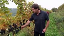 Deutschlands höchster Weinberg | Video des Tages