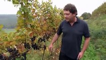 Winzer und Weine: Der höchste Weinberg Deutschlands | euromaxx