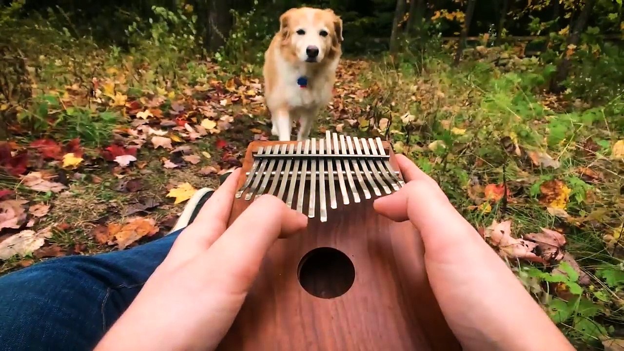 Can't Help Falling In Love on a Kalimba Vídeo Dailymotion