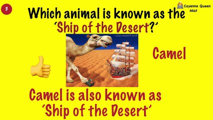 General Knowledge Questions and Answers | For Kids | Ship of the Desert |