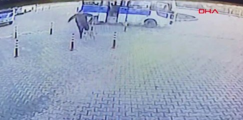 Vicdansız Adam, Servis Durağında Gezinen Köpeği Tekmeledi! O Anlar Kamerada