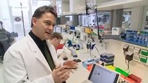 Stammzellforschung - dem Krebs auf der Spur | Projekt Zukunft
