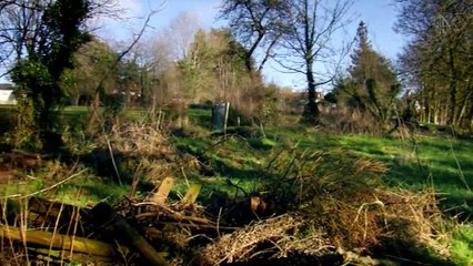 Grand Designs S13E04 Tiverton The Crooked Chocolate Box Cottage