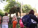 Journal Reporter | Deutsche Zoos und ihre Lieblinge