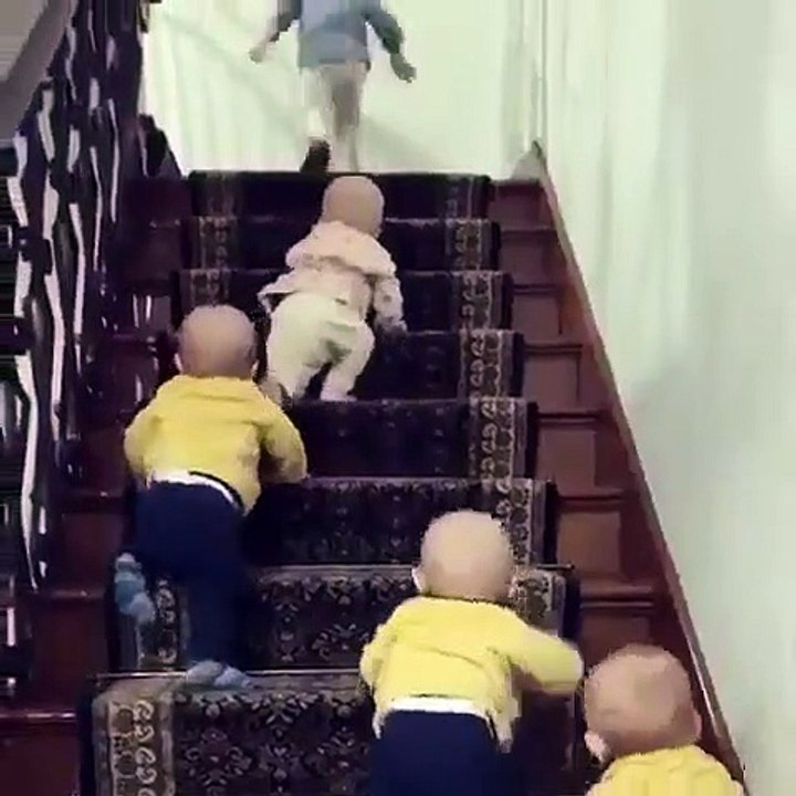 Baby race