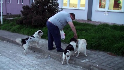 Köpeğe tekme atan kişi özür diledi - BARTIN