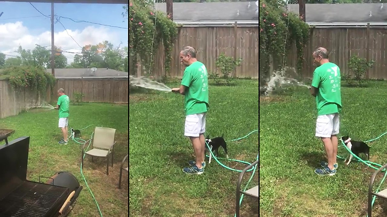 Un homme arrose le jardin avec son chien