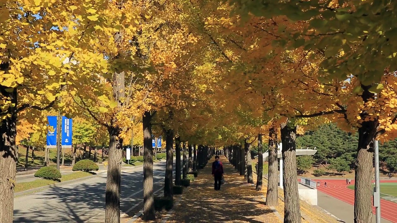 Christlicher Film | Brich den Bann Clip 2 – Wenn der Herr zurückkehrt – wie wird Er vor der Menschheit in Erscheinung treten?