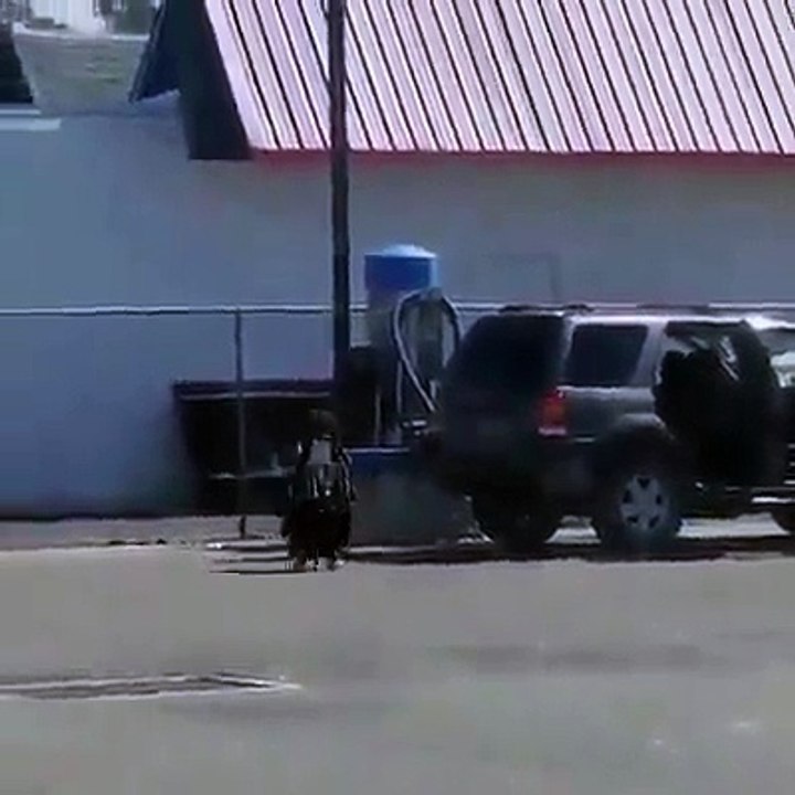 Vous n'avez jamais vu des parents aussi horrible qu'eux!