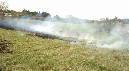 Andria: un folle sta innescando incendi nelle campagne, è caccia al piromane