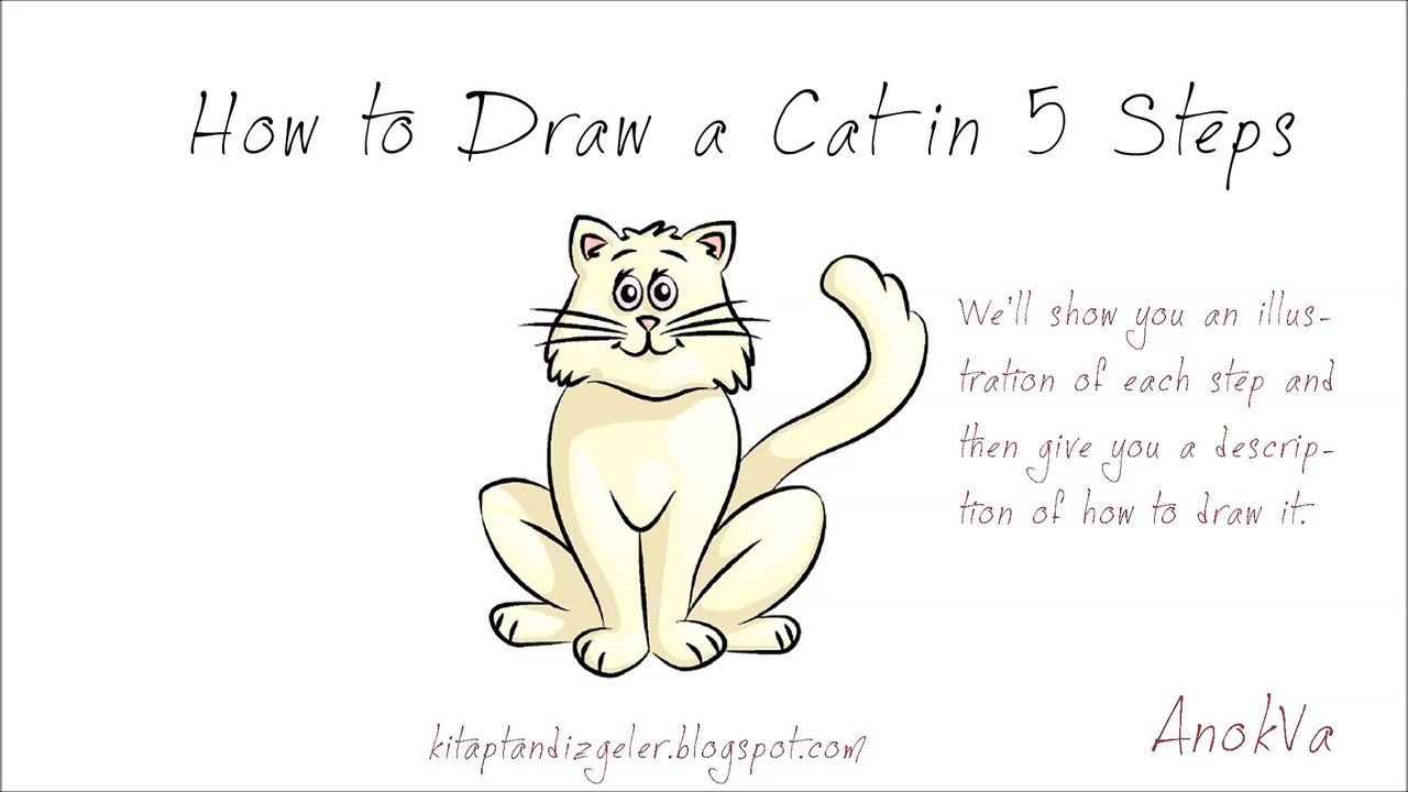 How to Draw a Cat in 5 Steps @AnokVa