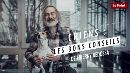 Thierry Bedossa : Chien de race ou chien croisé ?
