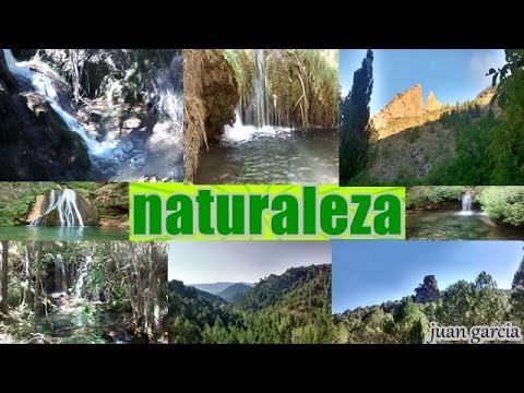 sonidos de la naturaleza - el canto de los pajaros y la musica del agua