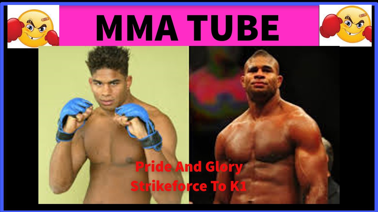 UFC Fighter Alistair Overeem Knockout Fight Highlights