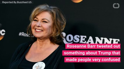 Roseanne Barr Cites Right-Wing Conspiracy Theory In Tweet