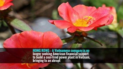 Vietnam Pulls Request for U.S. Help to Build a Coal-Fired Power Plant