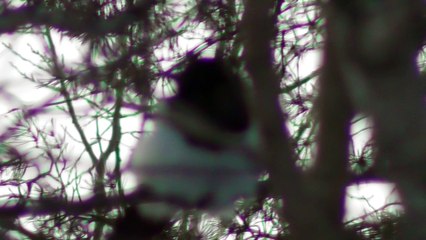 Apr 1 2018 DL4