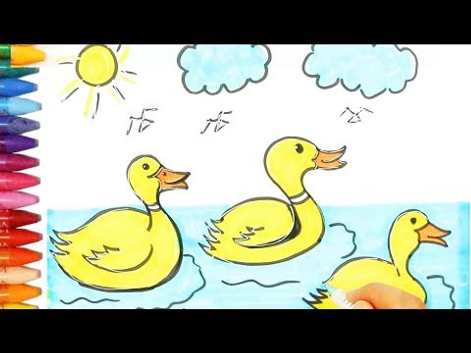 Ördek nasıl çizilir - Çizelim Boyayalım
