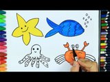 Cómo dibujar animales marinos