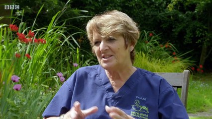 BBC2_Hugh's Wild West series 1, episode 11  17Mar18 - Secret World Wildlife Rescue & Glastonbury badgers