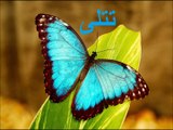 Urdu Preschool Lesson 8, Urdu haroof e tahaji ,اردو حروف تہجی