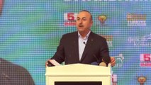 Dışişleri Bakanı Çavuşoğlu: '(PKK/PYD/YPG) Onların Kürtlerin hakları diye bir derdi yok' - DİYARBAKIR