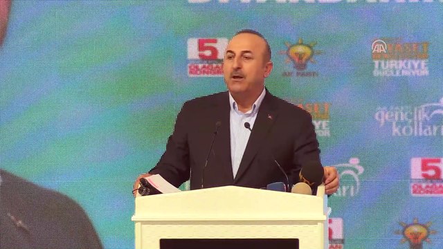 Dışişleri Bakanı Çavuşoğlu: '(PKK/PYD/YPG) Onların Kürtlerin hakları diye bir derdi yok' - DİYARBAKIR