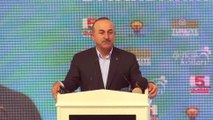 Dışişleri Bakanı Çavuşoğlu, Diyarbakır 5. Olağan Gençlik Kolları Olağan Kongresine katıldı - DİYARBAKIR