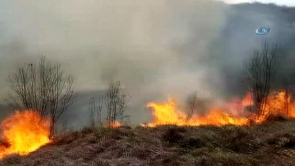 Çıkardığı yangını söndüremedi, köyün yarısı kül oldu